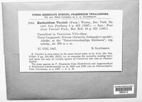 Image Associated With the Occurence
